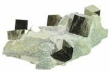 Cluster Of Shiny, Natural Pyrite Cubes - Navajun, Spain #132560-3